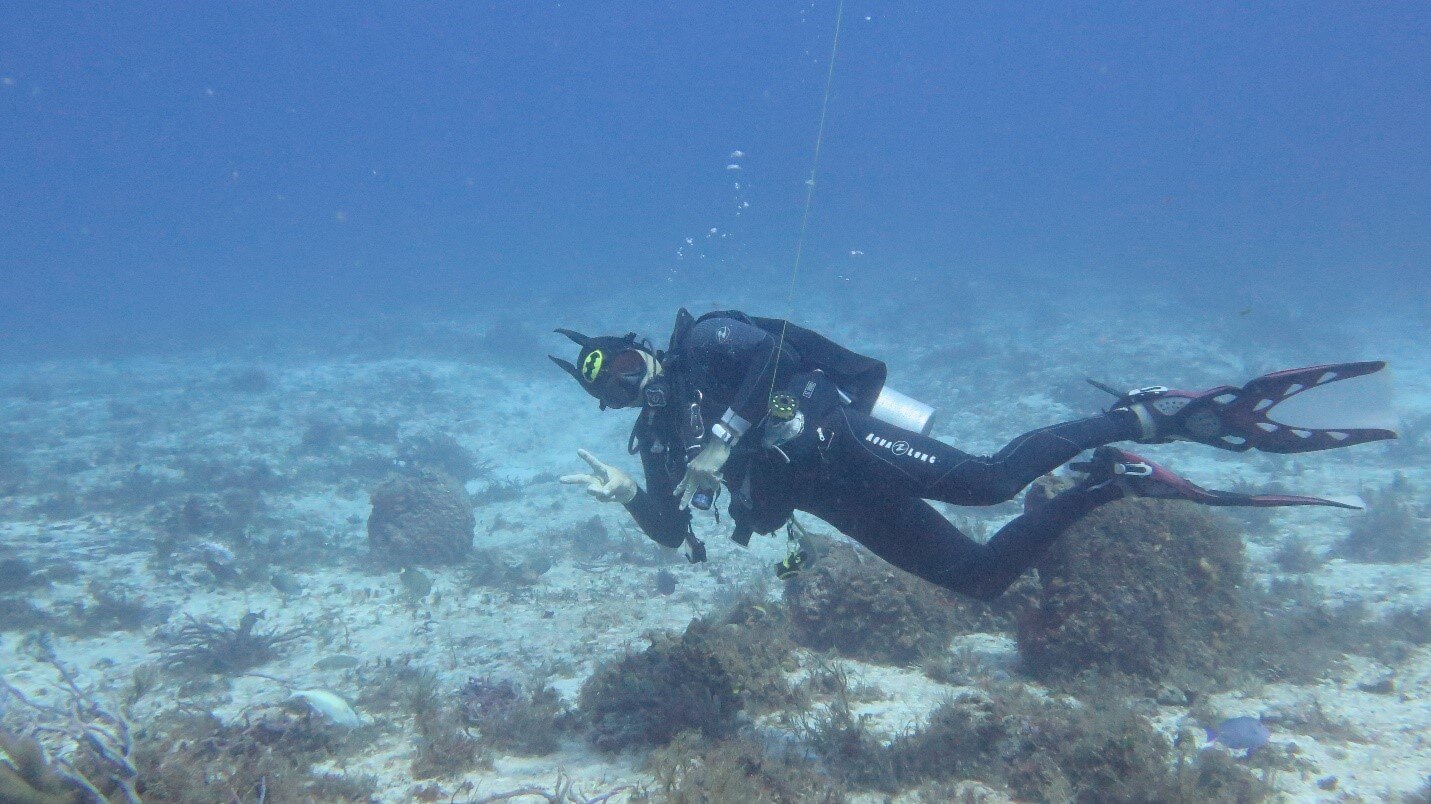 Batman returns to scuba diving